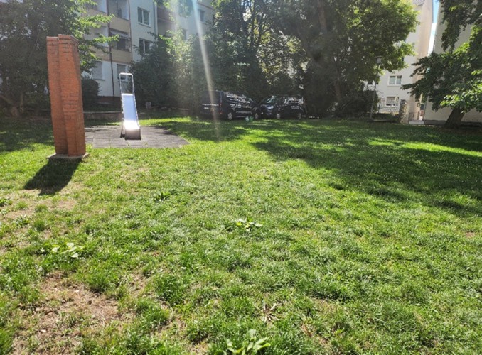 Der dort stehende Baum weist bereits deutliche Schäden durch das Befahren von Fahrzeugen auf. In den vergangenen Jahren mussten in der Umgebung mehrere Bäume wegen massiver Schäden gefällt werden. – Foto: privat