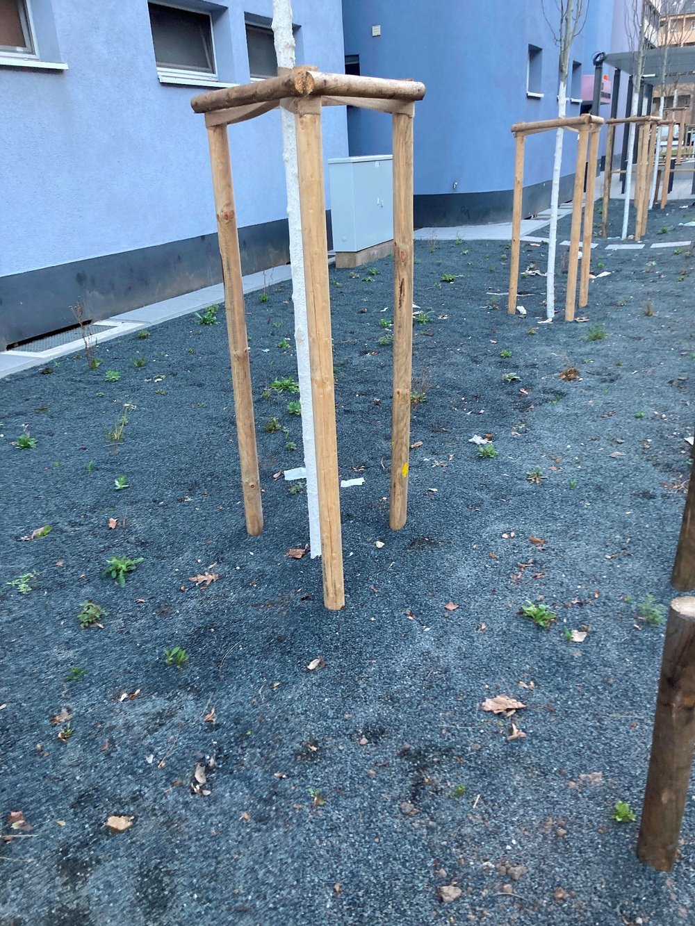 Foto:  Alexander Mitsch